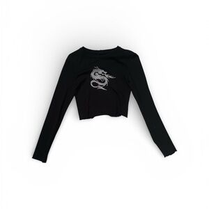Urban outfitters Black Dragon Embroidered Long Sleeve Top